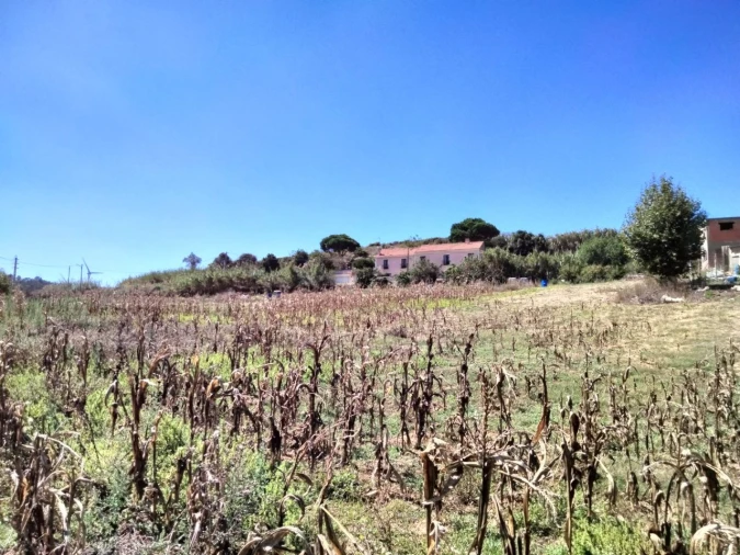 Terreno para Venda em Freiria Foto 5