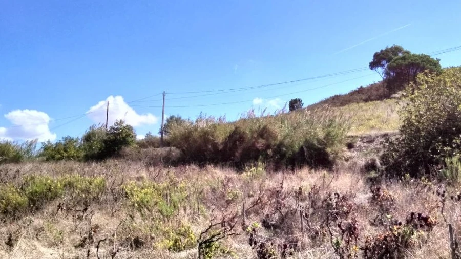 Terreno para Venda em Freiria