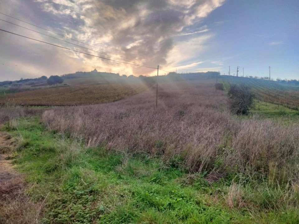 Terreno para Venda em Sendieira Foto 3