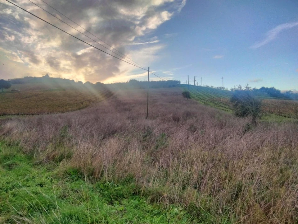 Terreno para Venda em Sendieira Foto 5