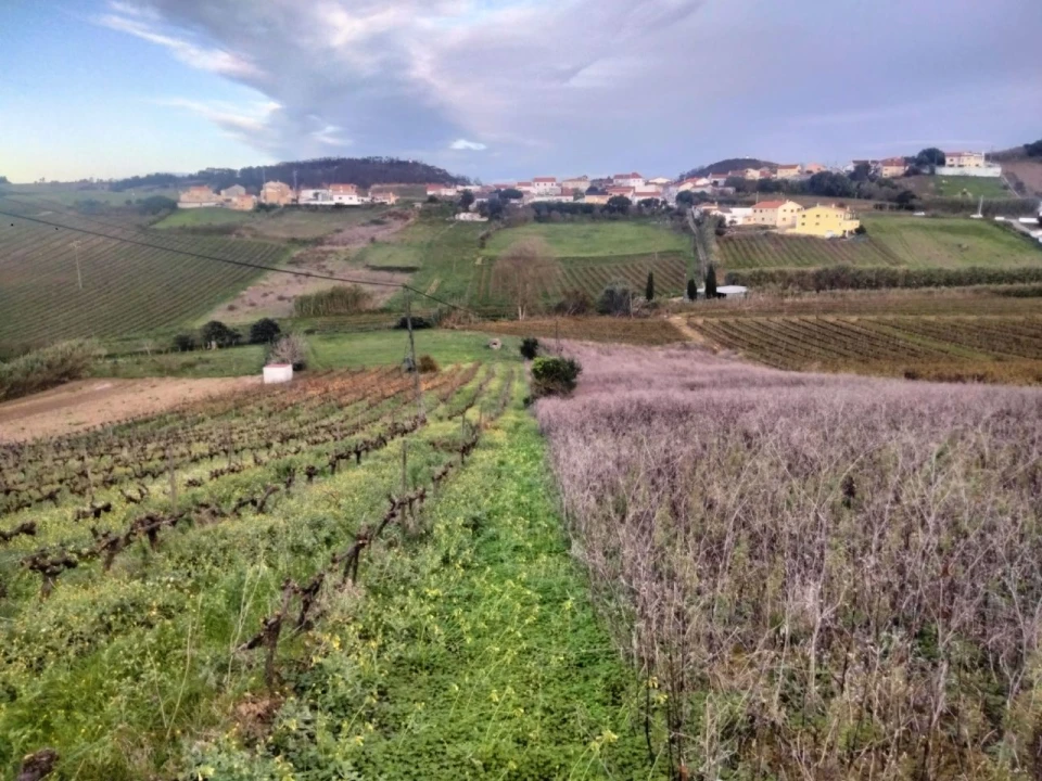 Terreno para Venda em Sendieira Foto 6
