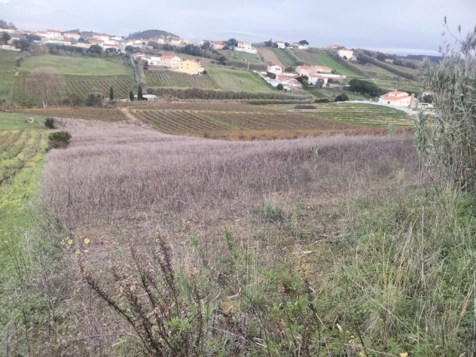 Terreno para Venda em Sendieira Foto 8