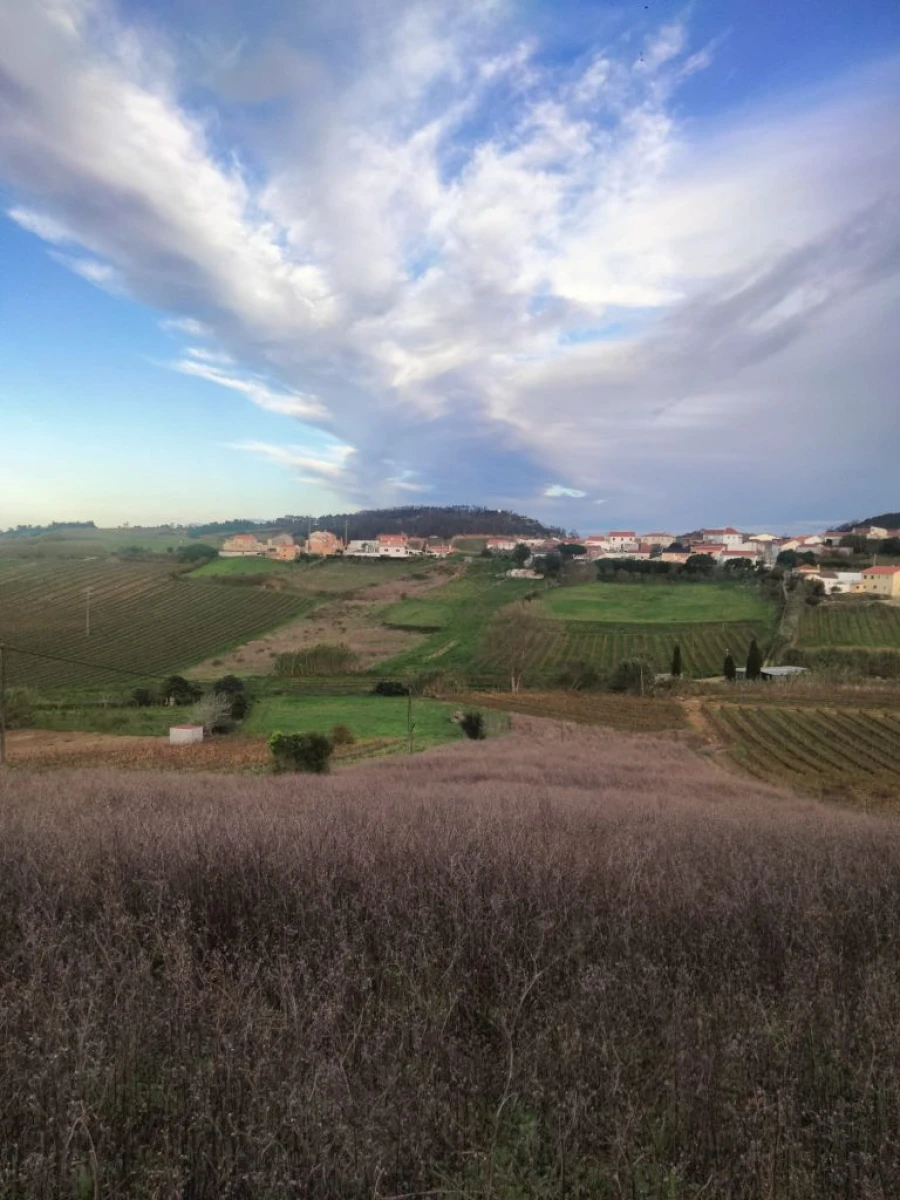 Terreno para Venda em Sendieira Foto 4