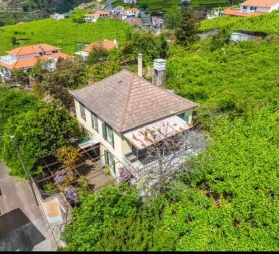 Quinta T7 para Venda em Estreito Câmara de Lobos Foto 5