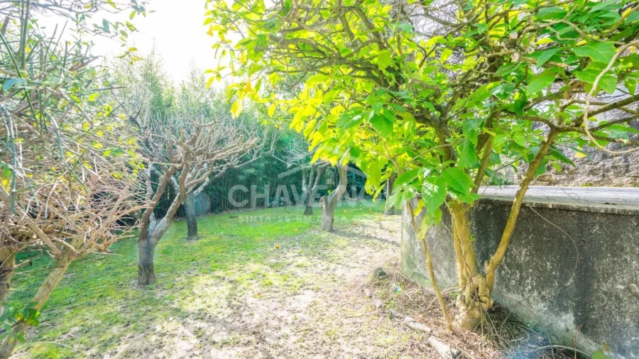 Moradia T4 para Venda em Vila Nova de Gaia Foto 5