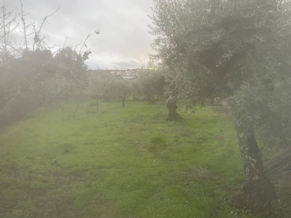 Armazém para Venda em Lousa Foto 6