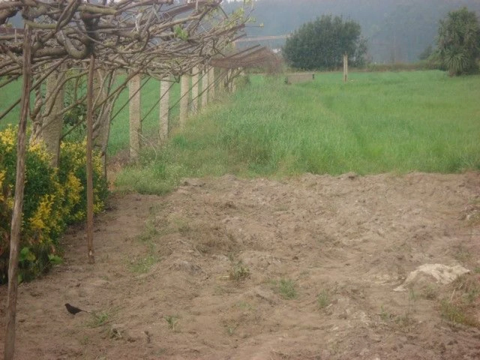 Moradia T5 para Venda em Guilhabreu Foto 9