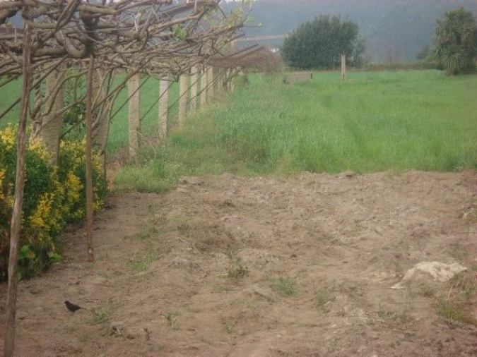 Moradia T5 para Venda em Guilhabreu Foto 9