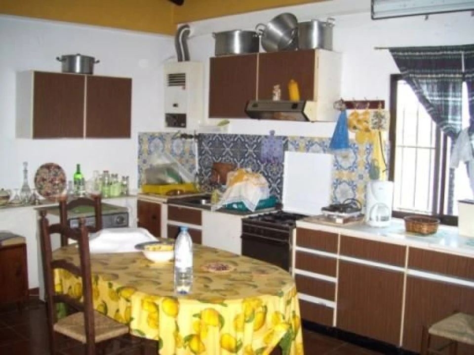 Negócio para Venda em Amareleja Foto 7