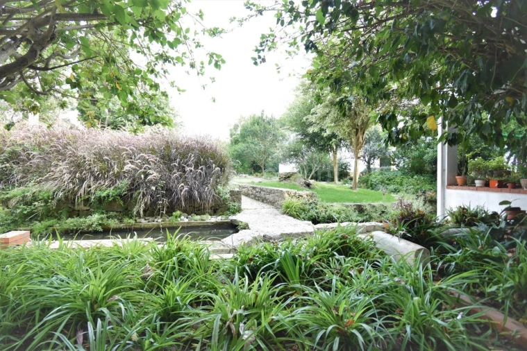 Apartamento T0 para Arrendamento em Monte Estoril Foto 4