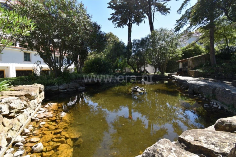Apartamento T0 para Arrendamento em Monte Estoril Foto 12