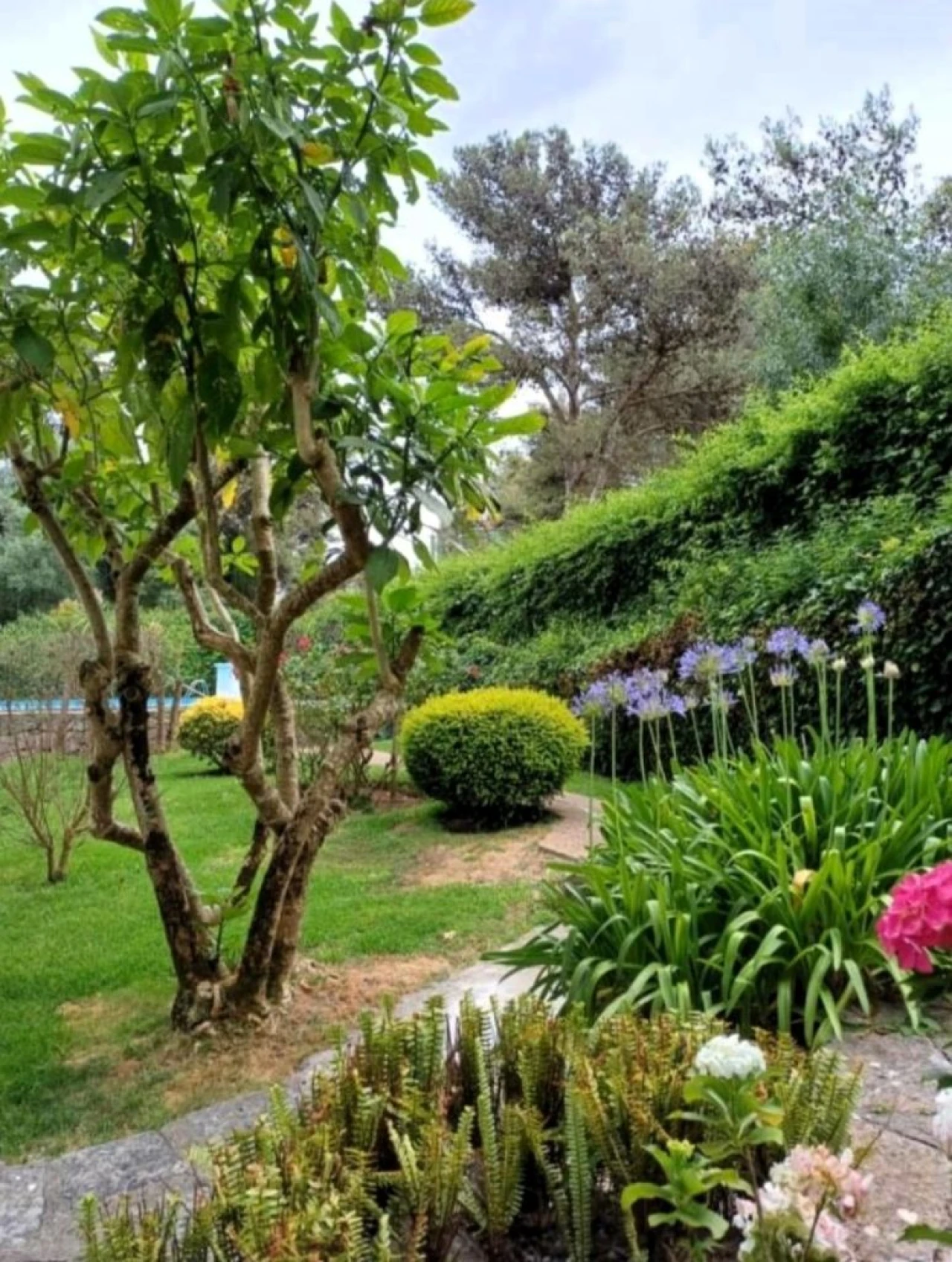 Apartamento T1 para Venda em Cascais Foto 18