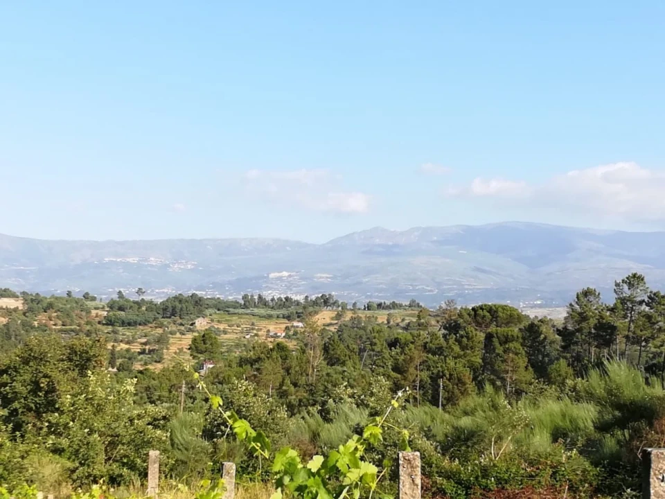 Quinta para Venda em Rua do eiro, 3 Foto 3