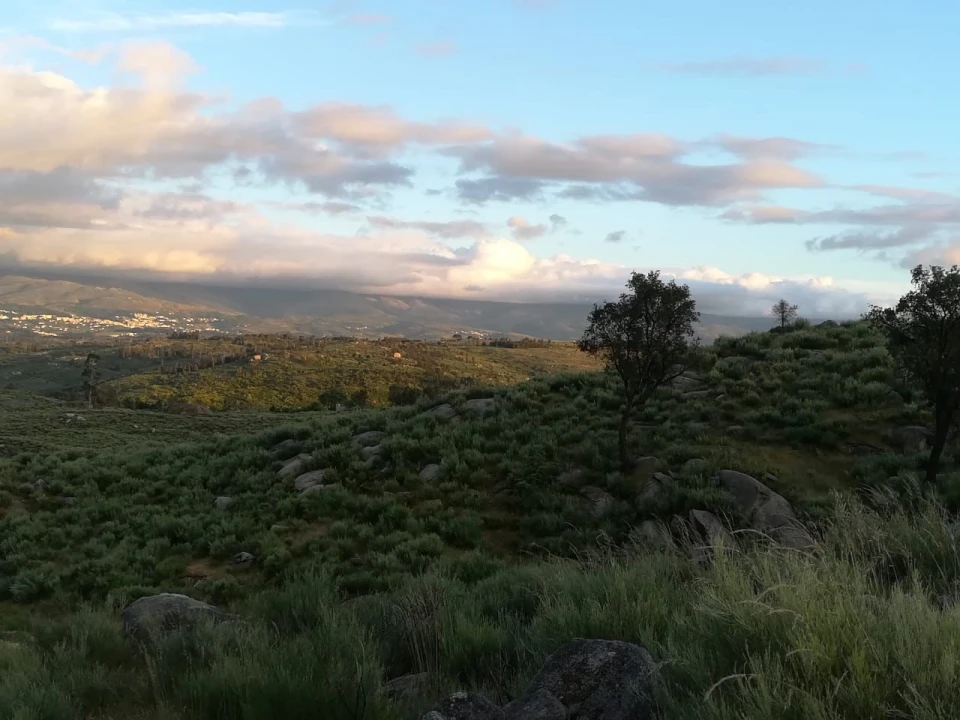 Quinta para Venda em Rua do eiro, 3 Foto 4