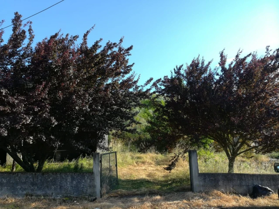 Quinta para Venda em Rua do eiro, 3 Foto 6