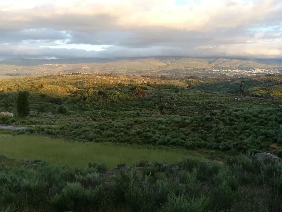 Quinta para Venda em Rua do eiro, 3 Foto 7