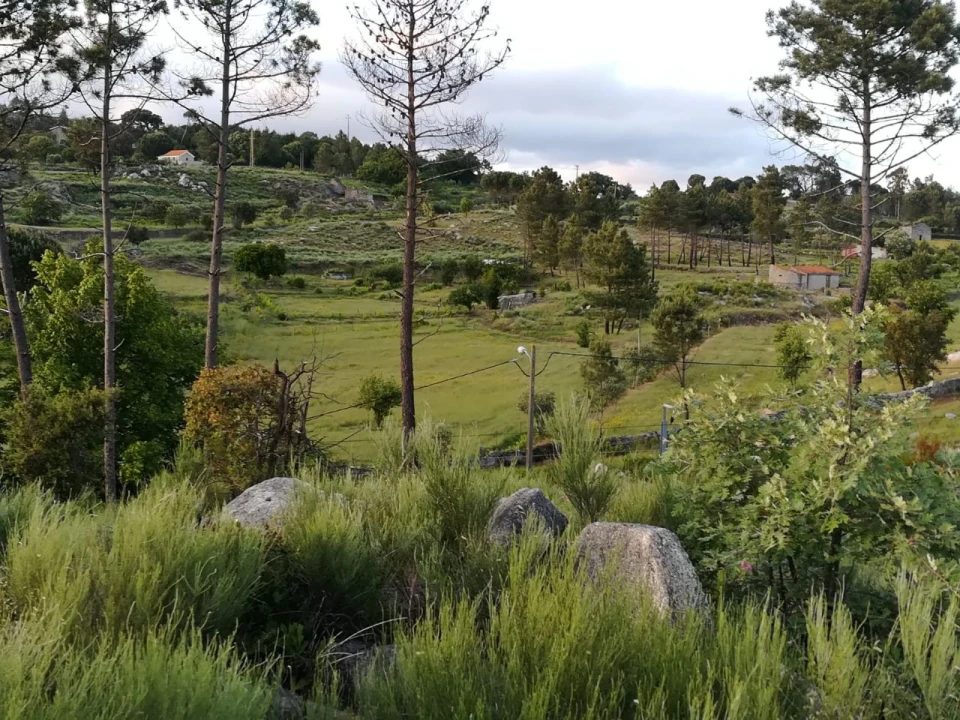 Quinta para Venda em Rua do eiro, 3 Foto 14