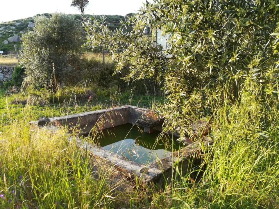 Quinta para Venda em Rua do eiro, 3 Foto 19