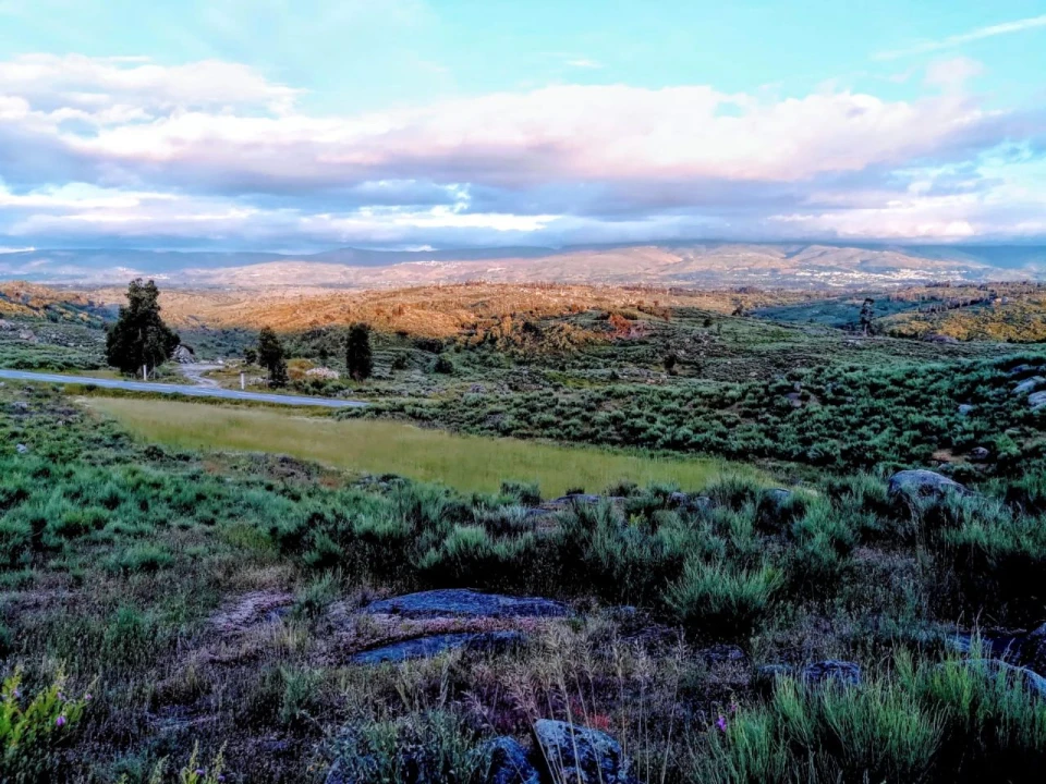 Quinta para Venda em Rua do eiro, 3 Foto 20