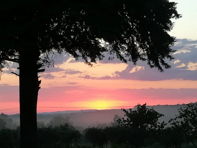 Quinta para Venda em Rua do eiro, 3