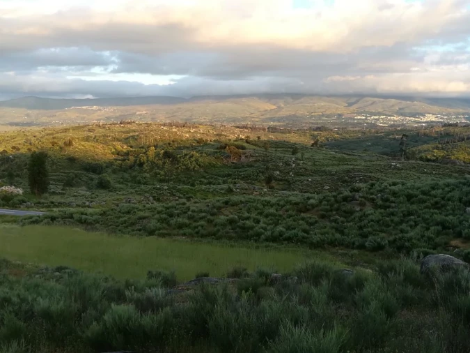 Quinta para Venda em Rua do eiro, 3 Foto 7