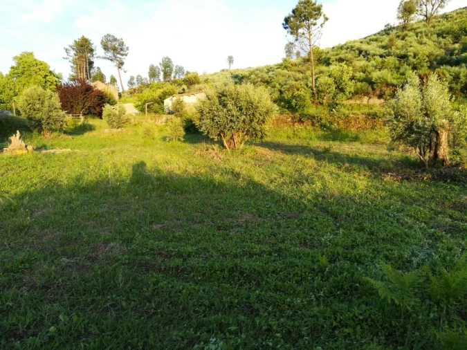 Quinta para Venda em Rua do eiro, 3 Foto 13