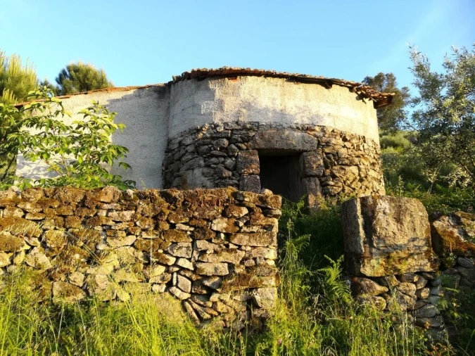 Quinta para Venda em Rua do eiro, 3 Foto 15