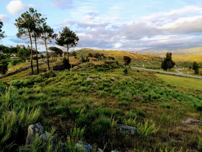Quinta para Venda em Rua do eiro, 3 Foto 17