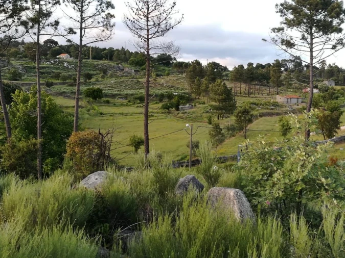 Quinta para Venda em Rua do eiro, 3 Foto 18