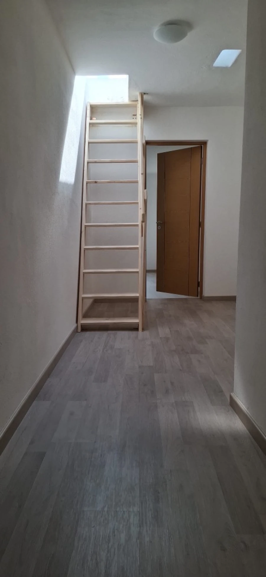 Moradia T4 para Venda em Almodôvar Foto 5