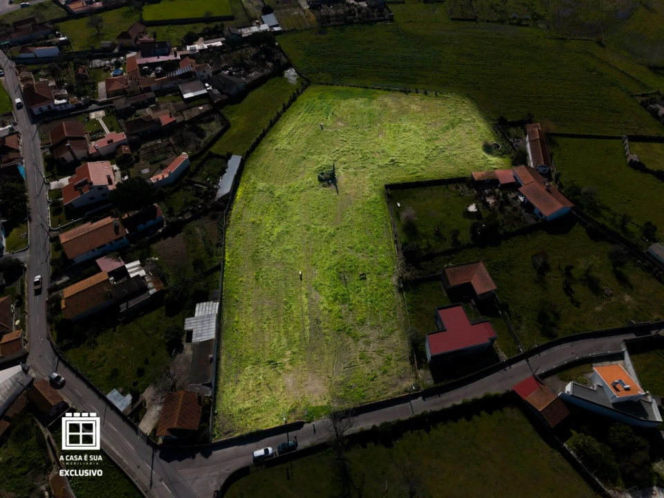 Quinta para Venda em Pardilhó Foto 1