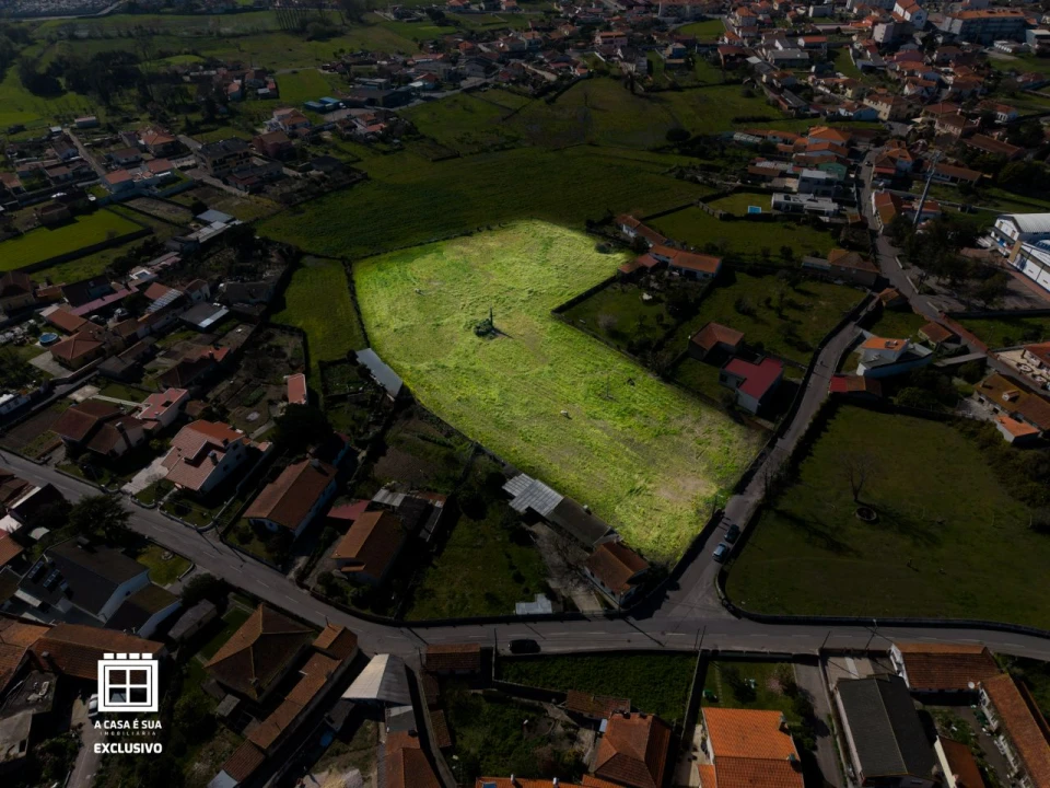 Quinta para Venda em Pardilhó Foto 3