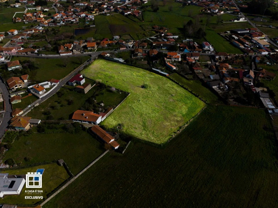 Quinta para Venda em Pardilhó Foto 10