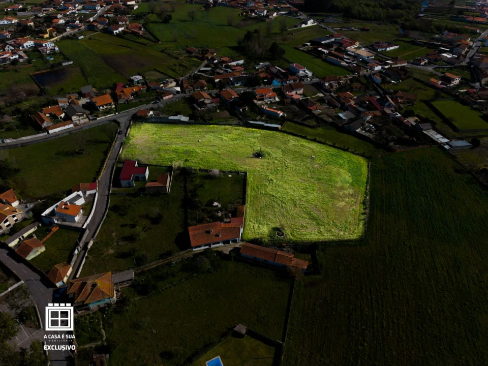 Quinta para Venda em Pardilhó Foto 12