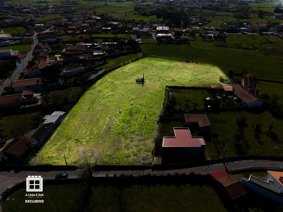 Quinta para Venda em Pardilhó Foto 13