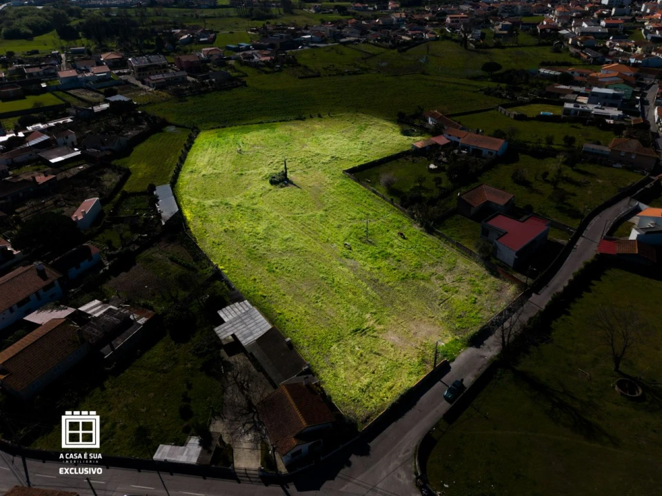 Quinta para Venda em Pardilhó Foto 15