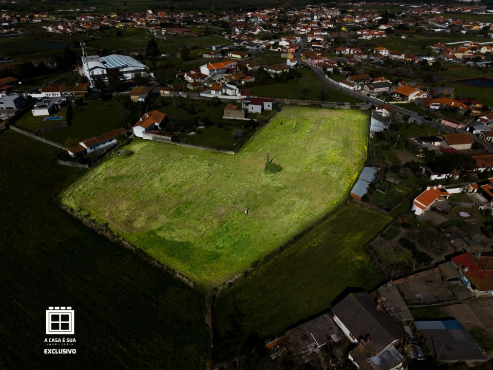 Quinta para Venda em Pardilhó Foto 21