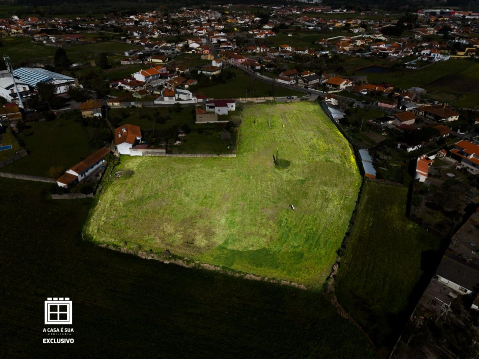 Quinta para Venda em Pardilhó Foto 19