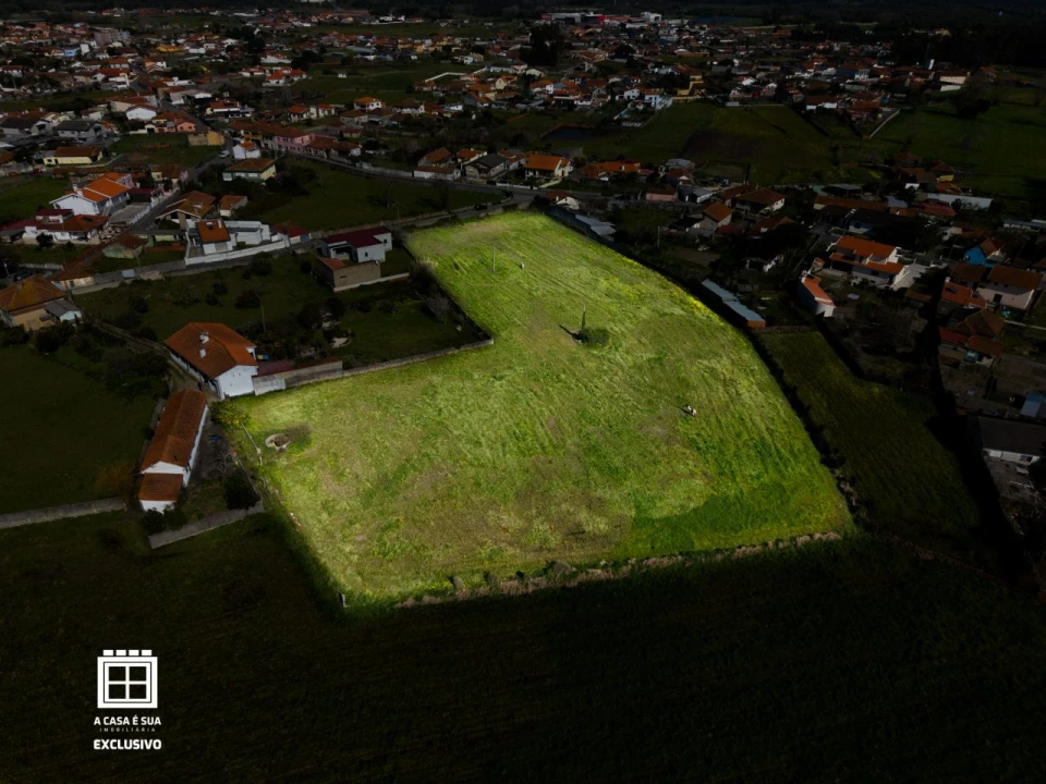 Quinta para Venda em Pardilhó Foto 20