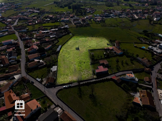 Quinta para Venda em Pardilhó Foto 2