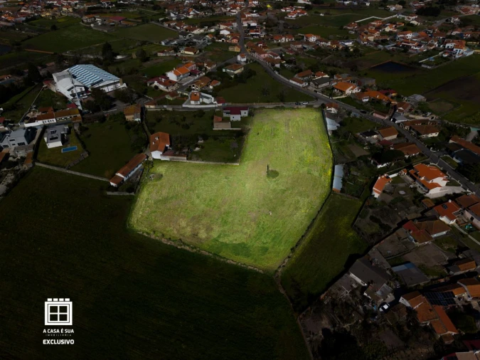 Quinta para Venda em Pardilhó Foto 7