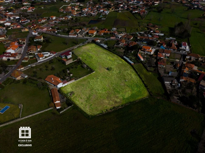 Quinta para Venda em Pardilhó Foto 8