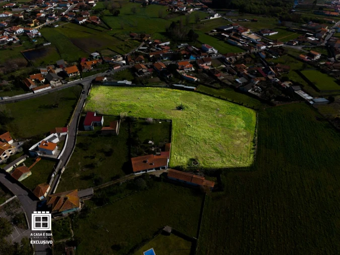 Quinta para Venda em Pardilhó Foto 12