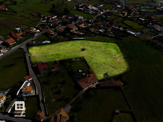 Quinta para Venda em Pardilhó Foto 11