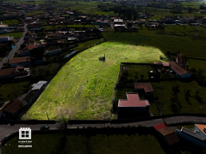 Quinta para Venda em Pardilhó Foto 13