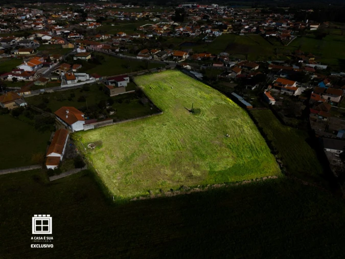 Quinta para Venda em Pardilhó Foto 20