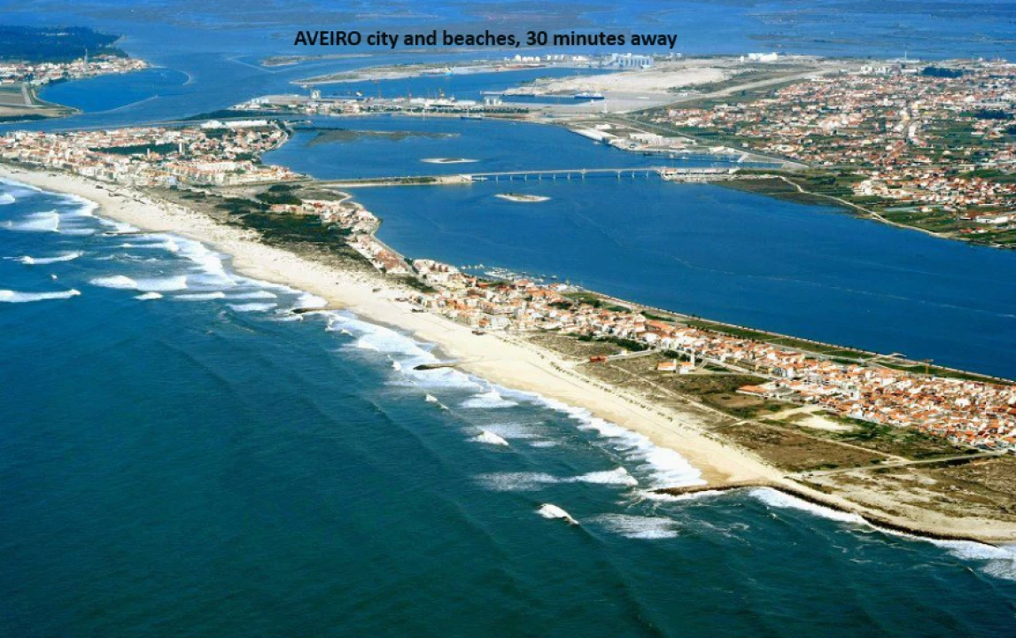 Terreno P/ Prédio para Venda em Oliveira do Bairro Foto 10