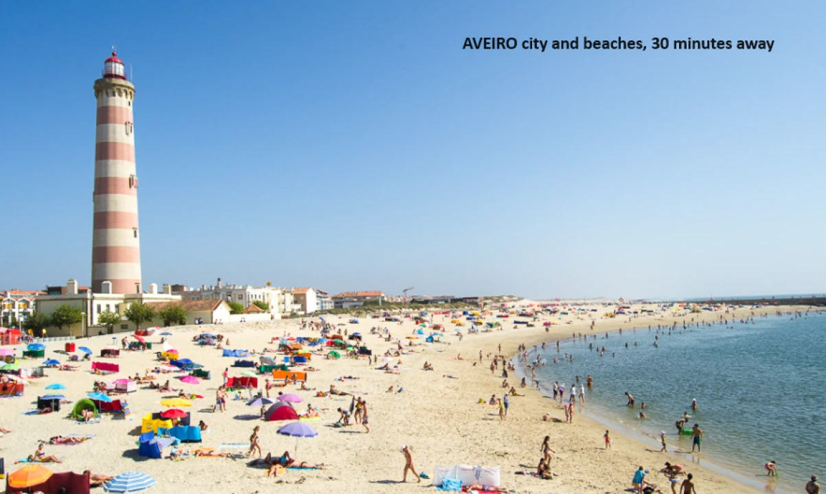Terreno P/ Prédio para Venda em Oliveira do Bairro Foto 11