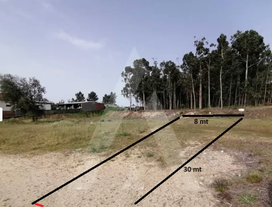 Terreno P/ Prédio para Venda em Oliveira do Bairro Foto 7