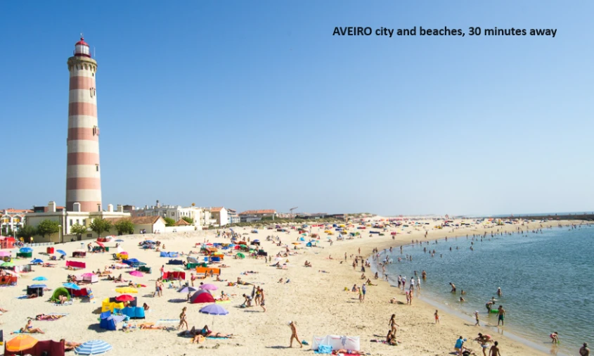 Terreno P/ Prédio para Venda em Oliveira do Bairro Foto 11